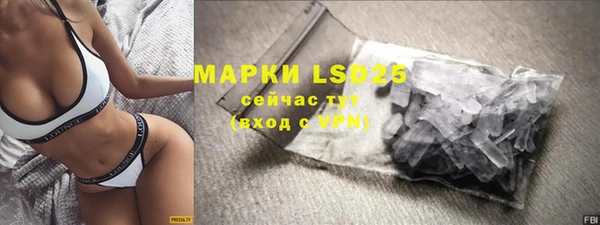 ГАЛЛЮЦИНОГЕННЫЕ ГРИБЫ Няндома