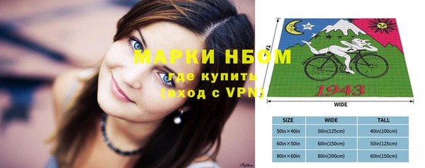 ГАЛЛЮЦИНОГЕННЫЕ ГРИБЫ Няндома