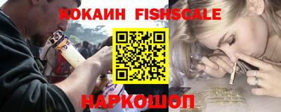 крисы Новокубанск