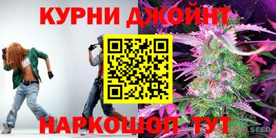 крисы Новокубанск