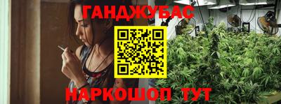 крисы Новокубанск