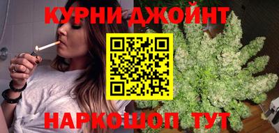 крисы Новокубанск