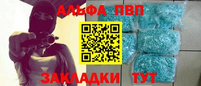 крисы Новокубанск