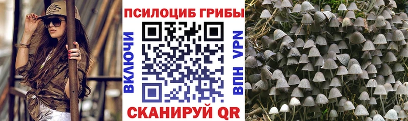 что такое   Южноуральск  Псилоцибиновые грибы Magic Shrooms 