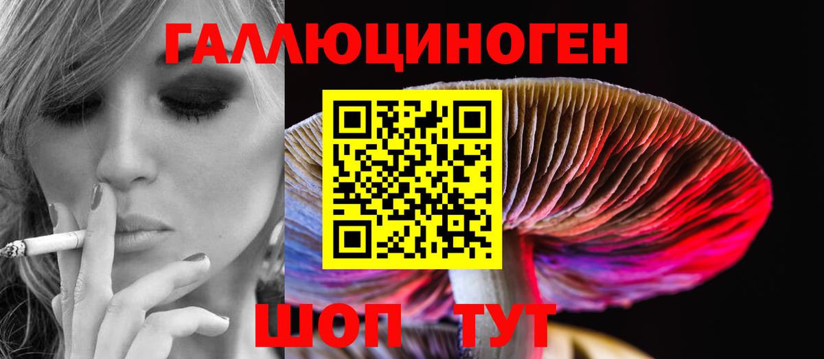 Южноуральск  Псилоцибиновые грибы мицелий  Вход с VPN  Галлюциногенные грибы мицелий 